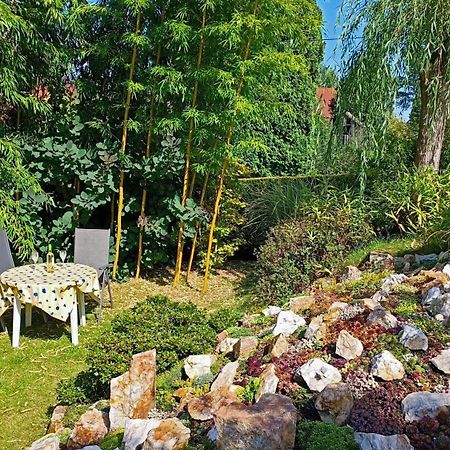 Appartamento Ferienhaus "Am Waldsaum" Kurort Gohrisch Esterno foto