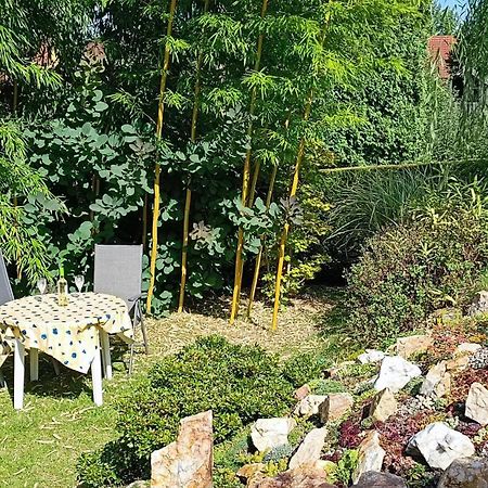 Ferienhaus Und Ferienwohnung "Am Waldsaum" Kurort Gohrisch Esterno foto