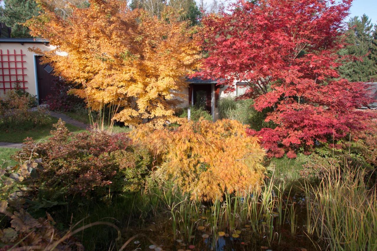 Ferienhaus Und Ferienwohnung "Am Waldsaum" Kurort Gohrisch Esterno foto