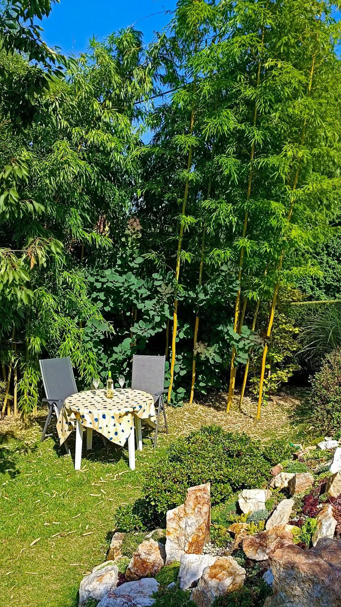 Ferienhaus Und Ferienwohnung "Am Waldsaum" Kurort Gohrisch Esterno foto