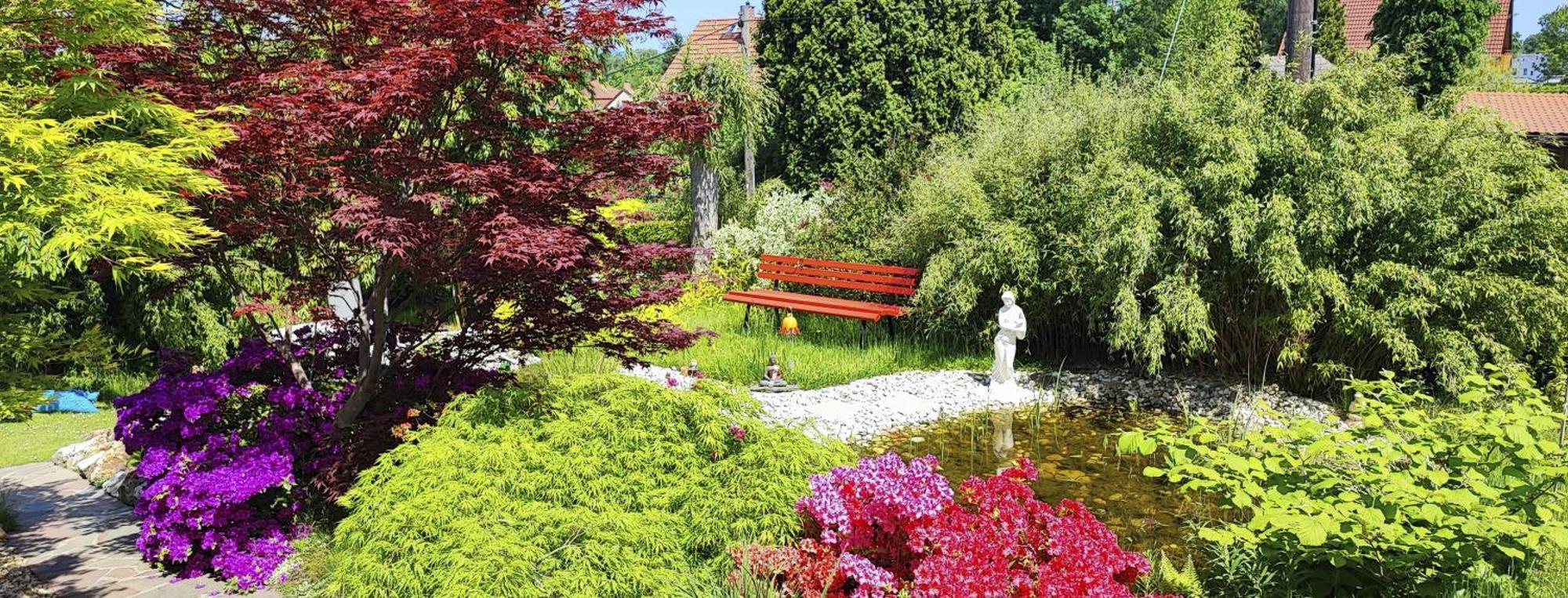 Ferienhaus Und Ferienwohnung "Am Waldsaum" Kurort Gohrisch Esterno foto