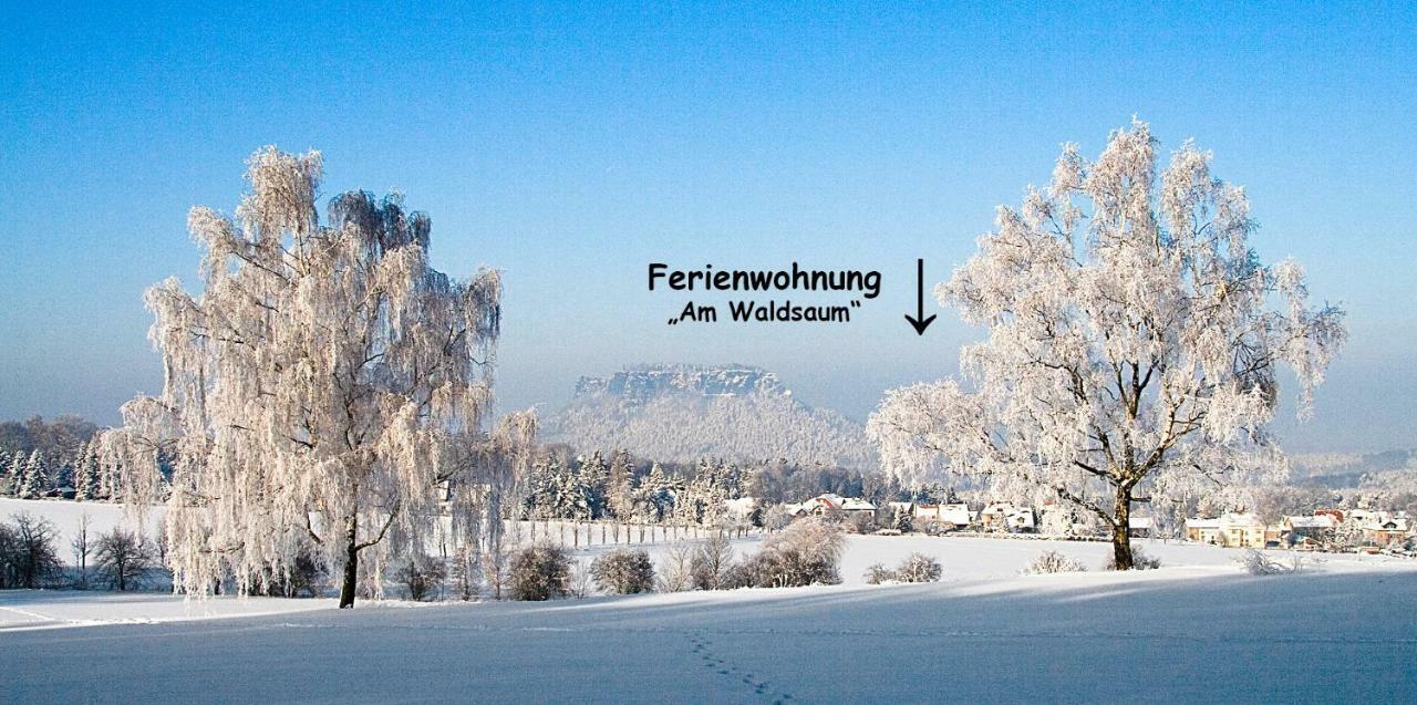 Ferienhaus Und Ferienwohnung "Am Waldsaum" Kurort Gohrisch Esterno foto