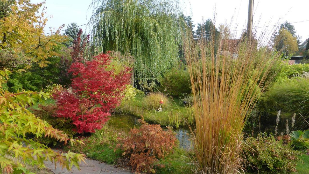 Appartamento Ferienhaus "Am Waldsaum" Kurort Gohrisch Esterno foto