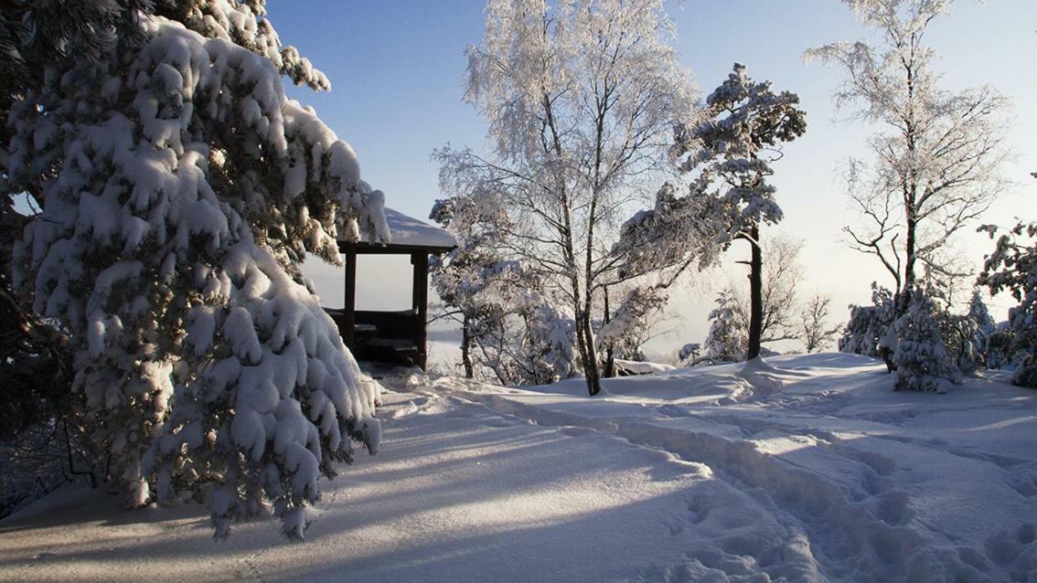 Ferienhaus Und Ferienwohnung "Am Waldsaum" Kurort Gohrisch Esterno foto