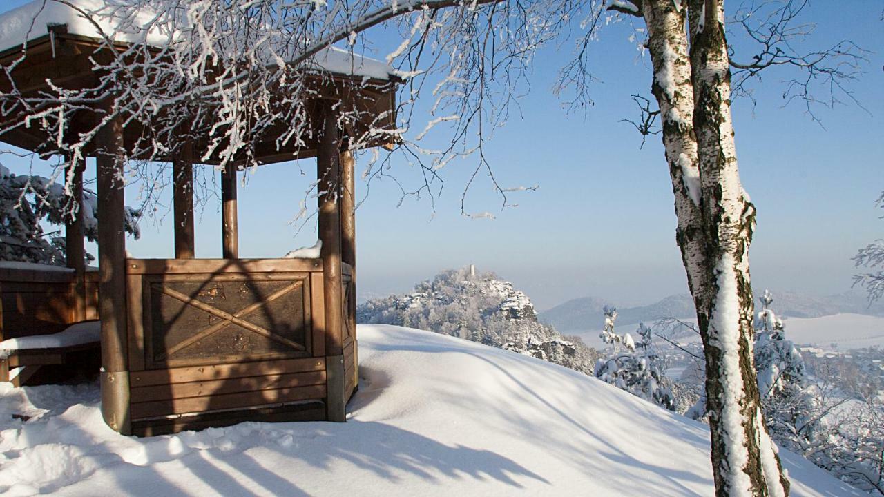 Appartamento Ferienhaus "Am Waldsaum" Kurort Gohrisch Esterno foto